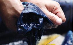 Trends to dye for_small